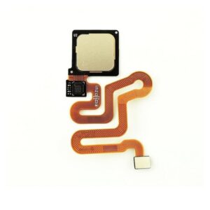 Flex Huella P9 Dorado