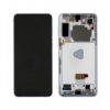Pantalla S21 PLus Original Plata Marco Premontado